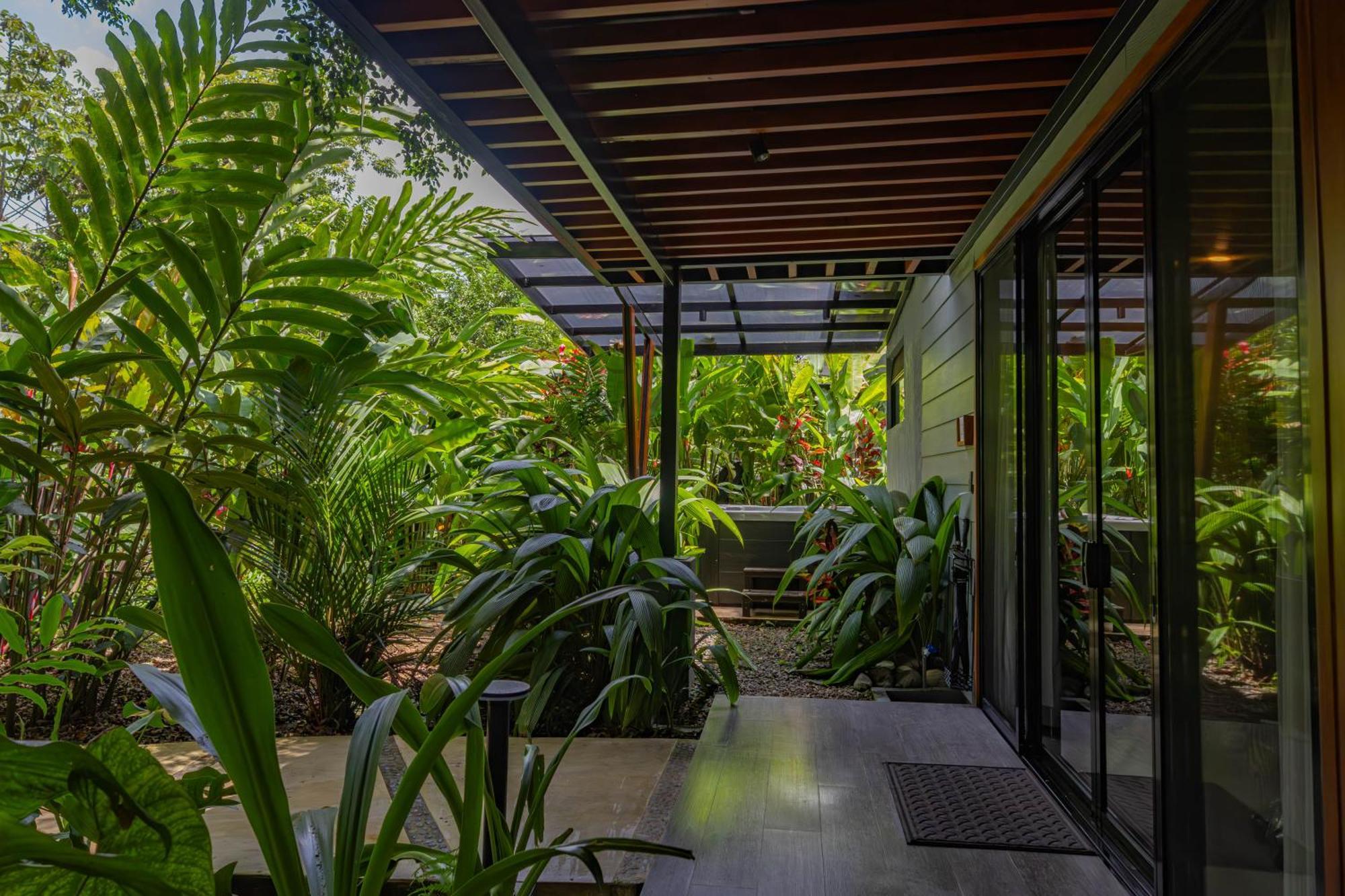 Noah's Forest By Tifakara 4* La Fortuna